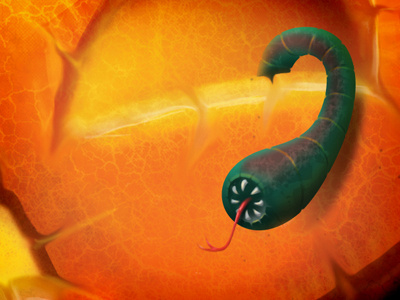 Pumpkin Worm green illustration orange photoshop