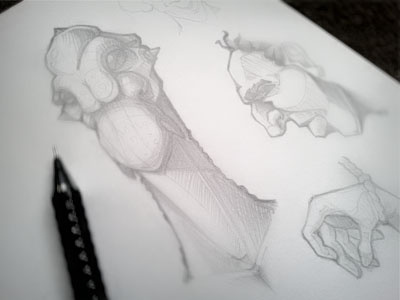 Sketchbook illustration line art pencil sketch