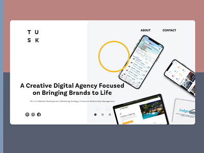 Tusk Design Landing Page Concept