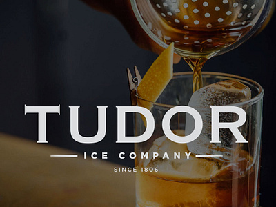 Tudor Ice Company branding design logo