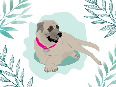 Haya design dog dog illustration illustration wacom intuos