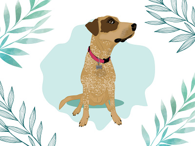 Bonnie the rescued Dog design dog dog illustration illustration wacom intuos