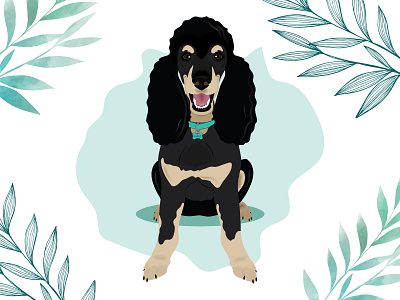 Harry the Phantom Poodle design dog dog illustration illustration wacom intuos