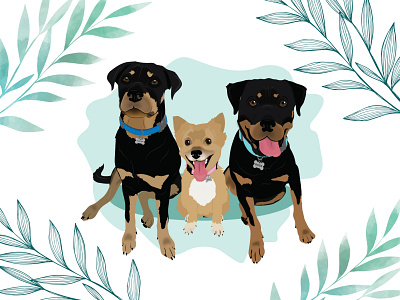 Hunter, Jackie & Boss design dog dog illustration illustration pomeranian rottweiler wacom intuos