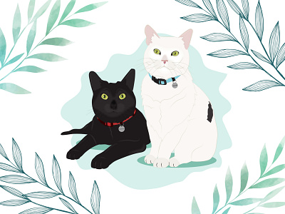 Clementine & Walter black cat cat cat illustration design illustration kitten wacom intuos white cat