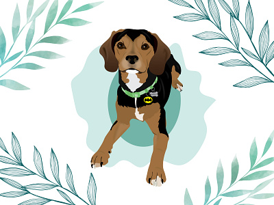 Murphy the Beaglier beagle beaglier cavalier design dog dog illustration illustration wacom intuos