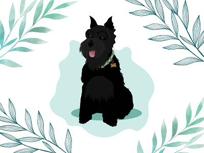 Maggie the Mini Schnauzer design dog dog illustration illustration minischnauzer schnauzer wacom intuos