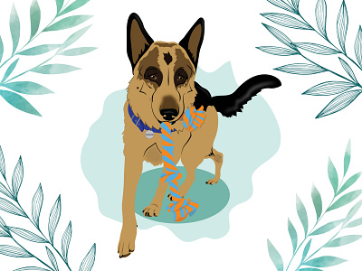Coraje design dog dog illustration illustration wacom intuos
