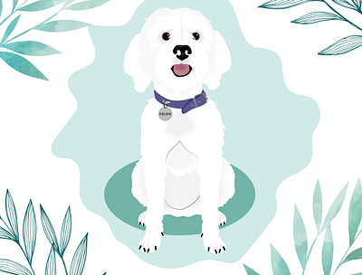 Felipe the Poodle design dog dog illustration illustration wacom intuos