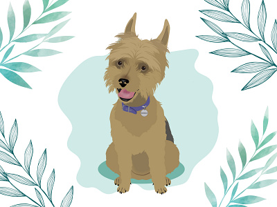 Manolo design dog dog illustration illustration wacom intuos