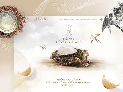 Yen Nha | Bird's nest | Layout website