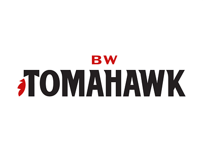 BW Tomahawk Logo brand identity branding branding design design illustration logo typography vector