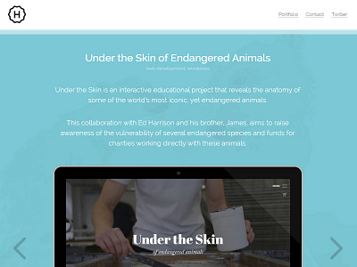 Portfolio - Under the Skin animals collaboration skin the under