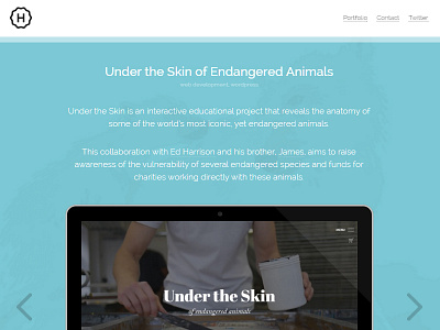 Portfolio - Under the Skin