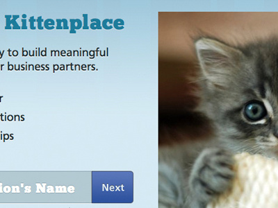 Kittenplace @font face css3 typography