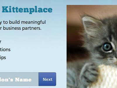 Kittenplace