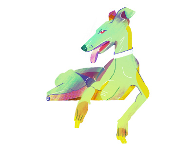 Portrait of a Dog character design colourful dani maiz dog dog illustration editorial illustration galgo illustration magazine illustration portrait posing