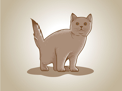Cat Illustration adobe illustrator animal cat graphic design illustration art illustrations sketch