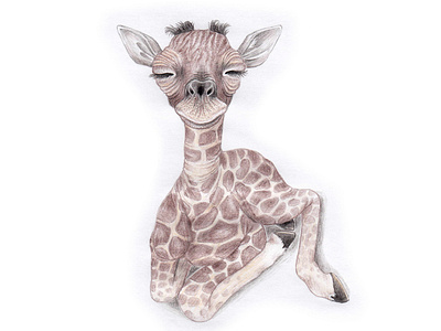 Baby giraffe art artist artwork baby decor draw drawing drawingart friendship gift giraffe giraffes girl illustration illustration art illustrations inspiration wall art wall decor wallart