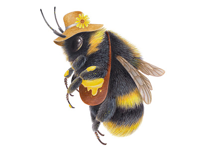 Honey bumblebee