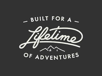 Lifetime Lockup by Matt Plays on Dribbble