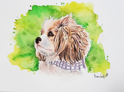 dog animal animal art dog dog illustration hand drawn illustration watercolor watercolor art watercolor painting