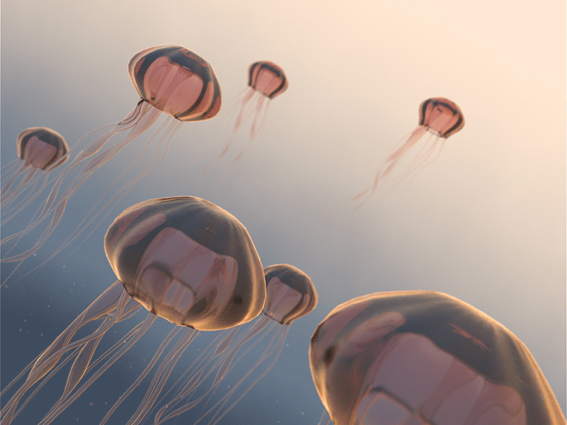 Pastel Jellyfish [animated] 3d animation 3d art animation cinema4d illustration