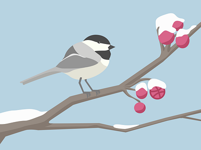 Debut-iful Chick-a-dee-dee-dee berries bird chickadee debut flat illustration sketch tree winter
