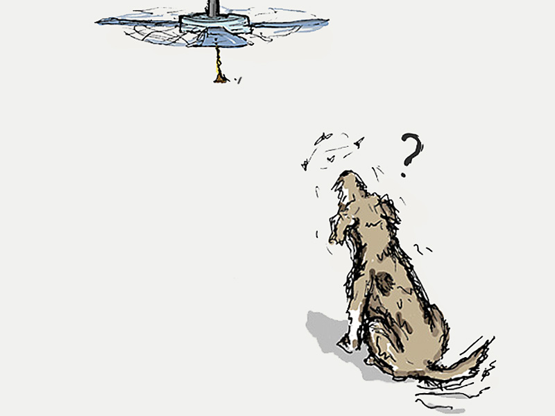 ...And In Other News illustration dog pen-and-ink pen and ink