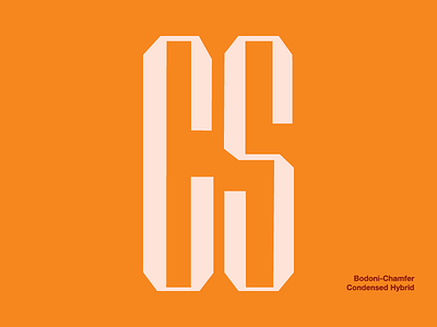 More Hybrid Letterforms bodoni chamfer hybrid typography