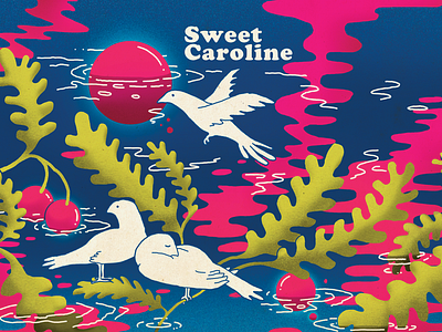 Sweet Caroline artwork beer beerlabels branding craft design illustration productdesign typography