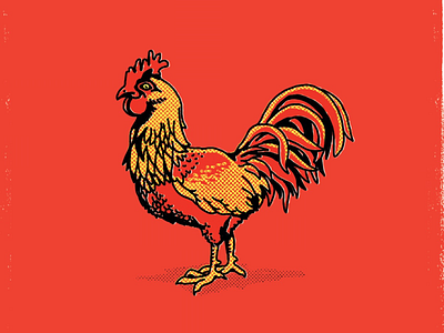 Rooster illustration