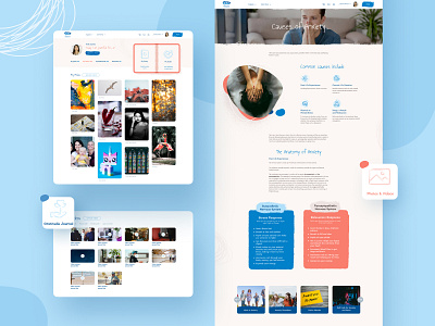 Web design for Anxiety Support Hub