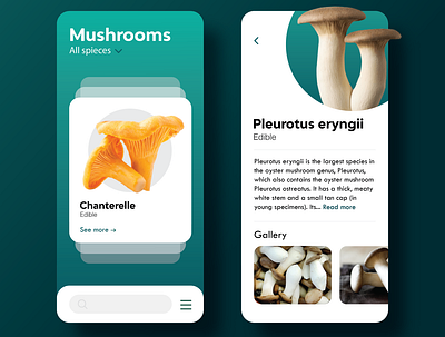 Mushrooms app app design application art brand concept design flat illustration logo minimal mobile app mobile design mushroom simple ui ux vector vector illustration website