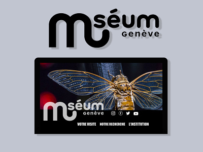 Home Page Museum