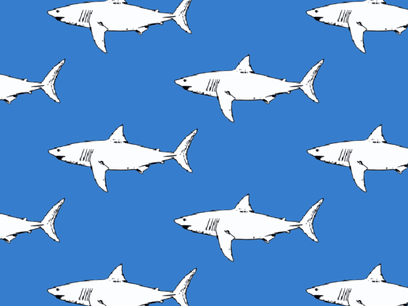 2D Shark Image Animation