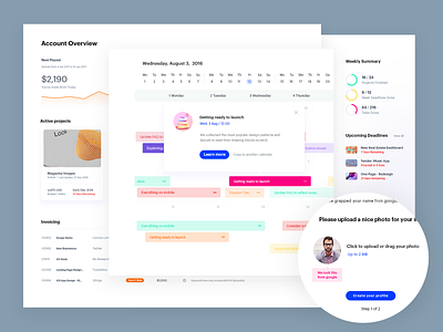 Board Admin Panel - Account overview admin dashboard admin panel components dashboard free interaction open source ui ui components ui elements uiux