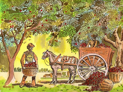 vintage apple picking farm apple farm apple picker horse and cart illustration pen and ink thanksgiving watercolor