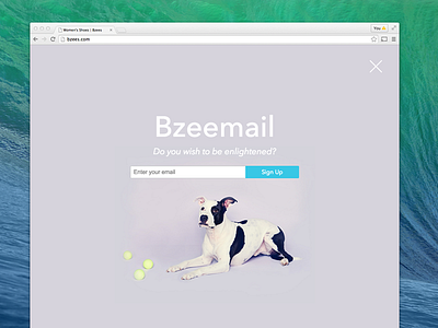 Bzees Modal Window dog email modal opt in popup signup