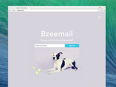 Bzees Modal Window