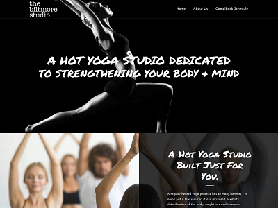 The Biltmore Studio Website branding agency identity web design wordpress yoga