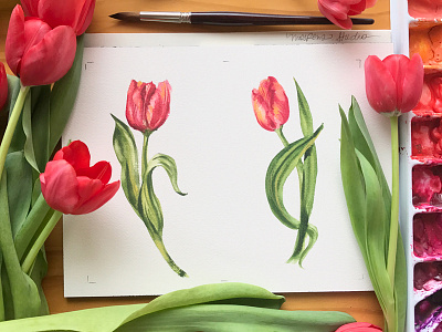 Danza Tulipani floral flowers illustration tulips watercolor