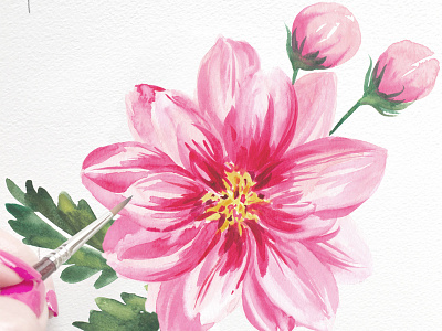 Peony Blooms art botanical floral flowers illustration watercolor