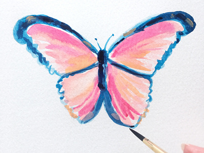 Cotton Candy Butterfly butterfly illustration insect painting watercolor