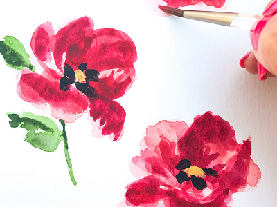 Red Poppies blooms floral flowers illustration plants poppy watercolor
