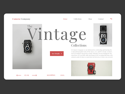 Landing Page Designed for Vintage Camera Website