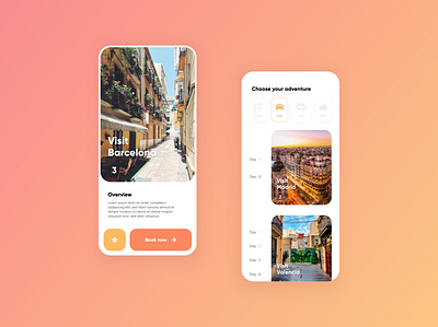 Design Tour Booker app design mobile ui
