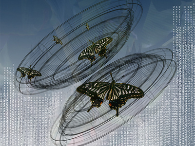 Buttrerflies design illustration