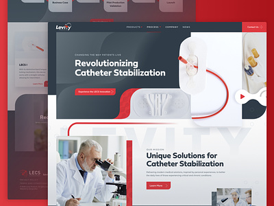 Levity Products New Site Launch designzillas orlando orlando design ux vector web design website