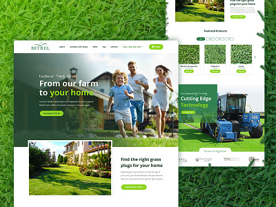 Natural Turf Grass E-Commerce Website farm grass green online orlando orlando web design web design